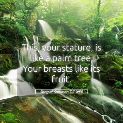 Picture 05 - Song of Solomon 7:7 WEB - This, your stature, is like a palm tree, Your - Bible Verse Picture