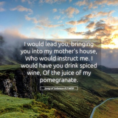Picture 05 - Song of Solomon 8:2 WEB - I would lead you, bringing you into my mother's - Bible Verse Picture
