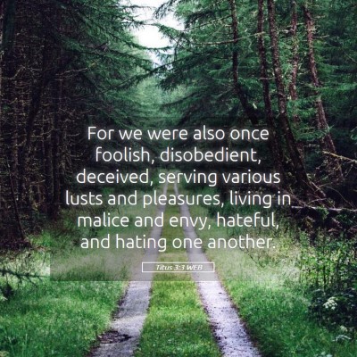 Picture 05 - Titus 3:3 WEB - For we were also once foolish, disobedient, - Bible Verse Picture