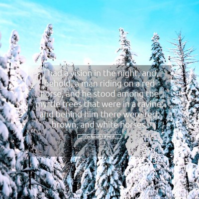 Picture 05 - Zechariah 1:8 WEB - 