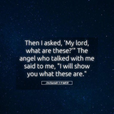 Picture 05 - Zechariah 1:9 WEB - Then I asked, 'My lord, what are these?'