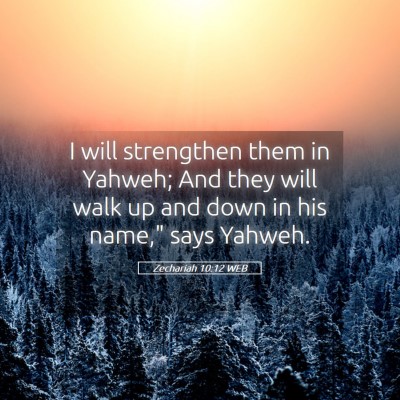 Picture 05 - Zechariah 10:12 WEB - I will strengthen them in Yahweh; And they will - Bible Verse Picture
