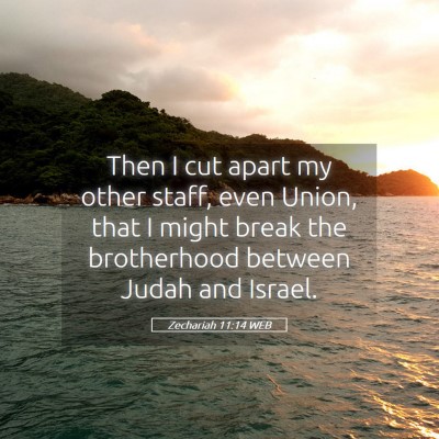Picture 05 - Zechariah 11:14 WEB - Then I cut apart my other staff, even Union, that - Bible Verse Picture