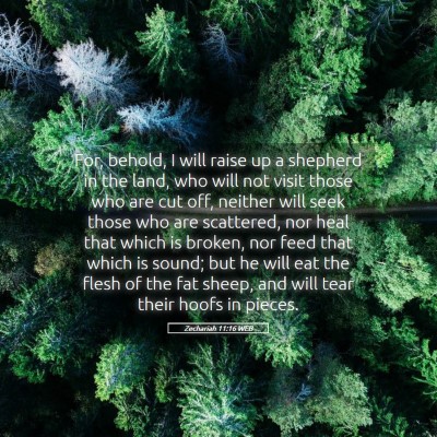 Picture 05 - Zechariah 11:16 WEB - For, behold, I will raise up a shepherd in the - Bible Verse Picture