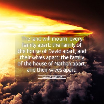 Picture 05 - Zechariah 12:12 WEB - The land will mourn, every family apart; the - Bible Verse Picture