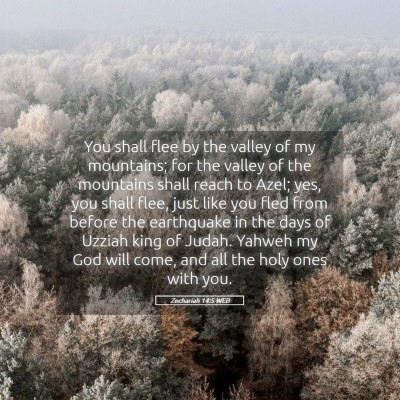 Picture 05 - Zechariah 14:5 WEB - You shall flee by the valley of my mountains; for - Bible Verse Picture