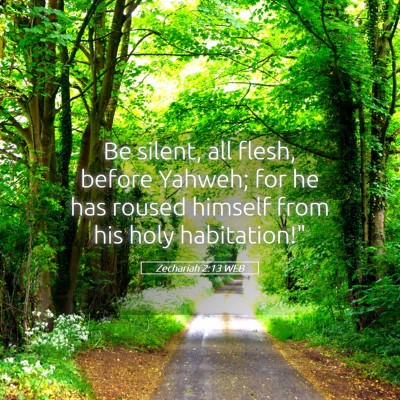 Picture 05 - Zechariah 2:13 WEB - Be silent, all flesh, before Yahweh; for he has - Bible Verse Picture