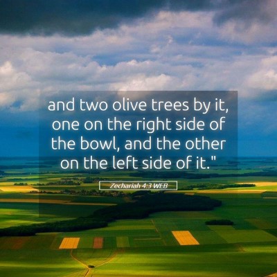 Picture 05 - Zechariah 4:3 WEB - and two olive trees by it, one on the right side - Bible Verse Picture