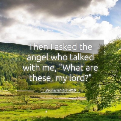 Picture 05 - Zechariah 6:4 WEB - Then I asked the angel who talked with me, 