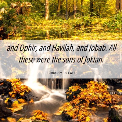 Picture 06 - 1 Chronicles 1:23 WEB - and Ophir, and Havilah, and Jobab. All these were - Bible Verse Picture