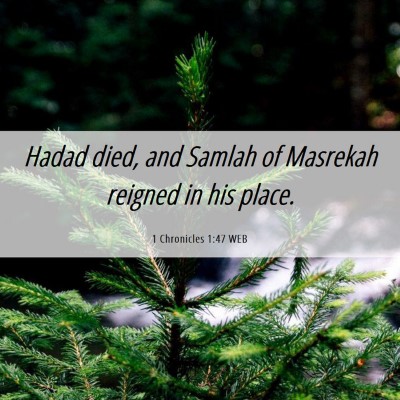 Picture 06 - 1 Chronicles 1:47 WEB - Hadad died, and Samlah of Masrekah reigned in his - Bible Verse Picture