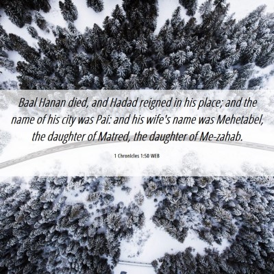 Picture 06 - 1 Chronicles 1:50 WEB - Baal Hanan died, and Hadad reigned in his place; - Bible Verse Picture