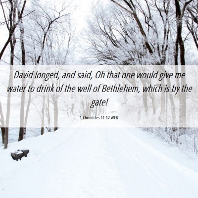 Picture 06 - 1 Chronicles 11:17 WEB - David longed, and said, Oh that one would give me - Bible Verse Picture