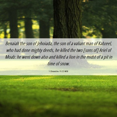 Picture 06 - 1 Chronicles 11:22 WEB - Benaiah the son of Jehoiada, the son of a valiant - Bible Verse Picture