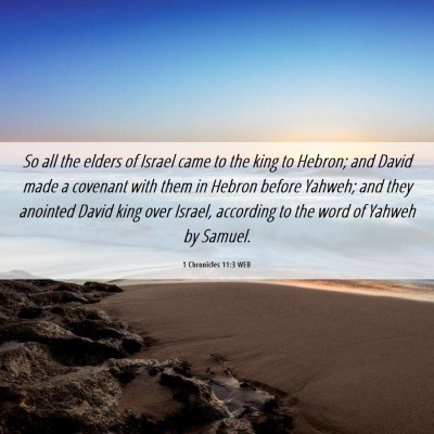 Picture 06 - 1 Chronicles 11:3 WEB - So all the elders of Israel came to the king to - Bible Verse Picture