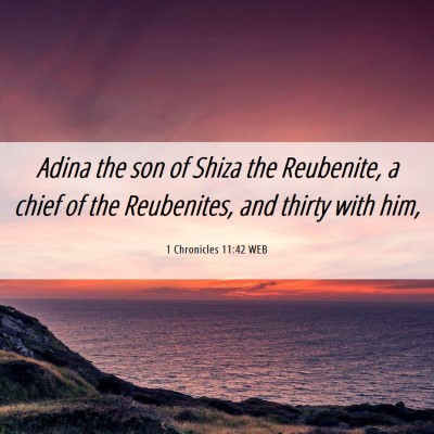 Picture 06 - 1 Chronicles 11:42 WEB - Adina the son of Shiza the Reubenite, a chief of - Bible Verse Picture