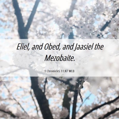 Picture 06 - 1 Chronicles 11:47 WEB - Eliel, and Obed, and Jaasiel the - Bible Verse Picture