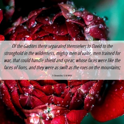 Picture 06 - 1 Chronicles 12:8 WEB - Of the Gadites there separated themselves to - Bible Verse Picture