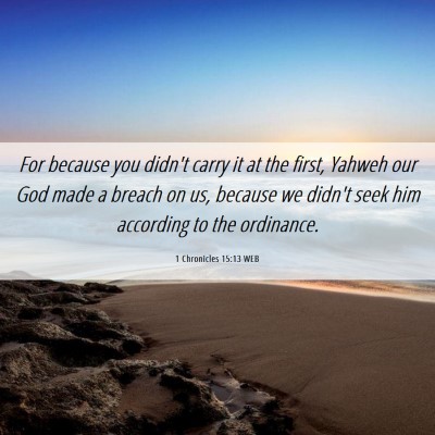 Picture 06 - 1 Chronicles 15:13 WEB - For because you didn't carry it at the first, - Bible Verse Picture