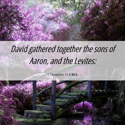 Picture 06 - 1 Chronicles 15:4 WEB - David gathered together the sons of Aaron, and - Bible Verse Picture