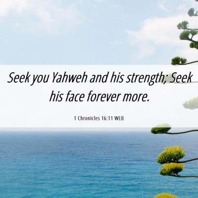 Picture 06 - 1 Chronicles 16:11 WEB - Seek you Yahweh and his strength; Seek his face - Bible Verse Picture