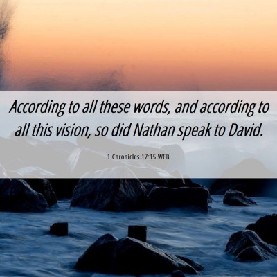 Picture 06 - 1 Chronicles 17:15 WEB - According to all these words, and according to - Bible Verse Picture