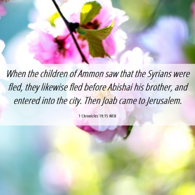 Picture 06 - 1 Chronicles 19:15 WEB - When the children of Ammon saw that the Syrians - Bible Verse Picture