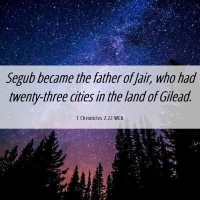 Picture 06 - 1 Chronicles 2:22 WEB - Segub became the father of Jair, who had - Bible Verse Picture
