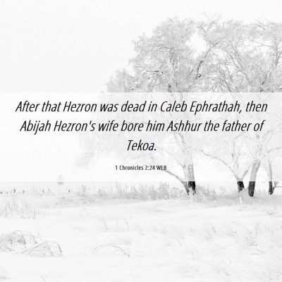 Picture 06 - 1 Chronicles 2:24 WEB - After that Hezron was dead in Caleb Ephrathah, - Bible Verse Picture