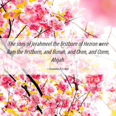 Picture 06 - 1 Chronicles 2:25 WEB - The sons of Jerahmeel the firstborn of Hezron - Bible Verse Picture