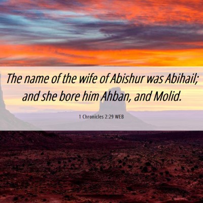 Picture 06 - 1 Chronicles 2:29 WEB - The name of the wife of Abishur was Abihail; and - Bible Verse Picture