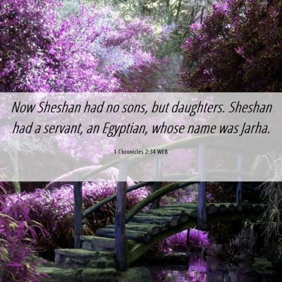 Picture 06 - 1 Chronicles 2:34 WEB - Now Sheshan had no sons, but daughters. Sheshan - Bible Verse Picture