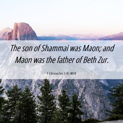 Picture 06 - 1 Chronicles 2:45 WEB - The son of Shammai was Maon; and Maon was the - Bible Verse Picture