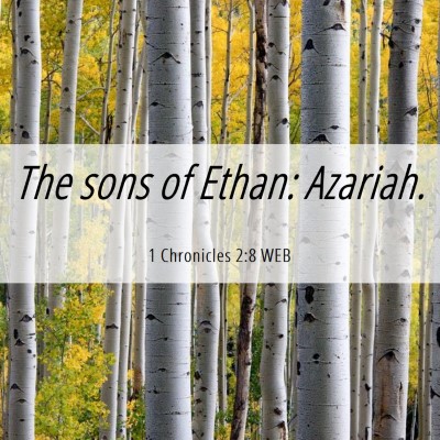 Picture 06 - 1 Chronicles 2:8 WEB - The sons of Ethan: - Bible Verse Picture
