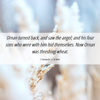 Picture 06 - 1 Chronicles 21:20 WEB - Ornan turned back, and saw the angel; and his - Bible Verse Picture