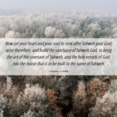 Picture 06 - 1 Chronicles 22:19 WEB - Now set your heart and your soul to seek after - Bible Verse Picture