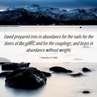 Picture 06 - 1 Chronicles 22:3 WEB - David prepared iron in abundance for the nails - Bible Verse Picture