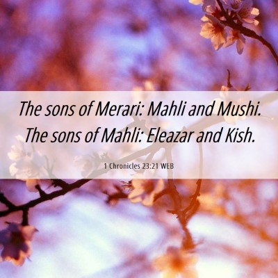 Picture 06 - 1 Chronicles 23:21 WEB - The sons of Merari: Mahli and Mushi. The sons of - Bible Verse Picture