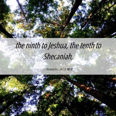 Picture 06 - 1 Chronicles 24:11 WEB - the ninth to Jeshua, the tenth to - Bible Verse Picture