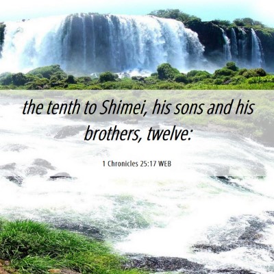 Picture 06 - 1 Chronicles 25:17 WEB - the tenth to Shimei, his sons and his brothers, - Bible Verse Picture