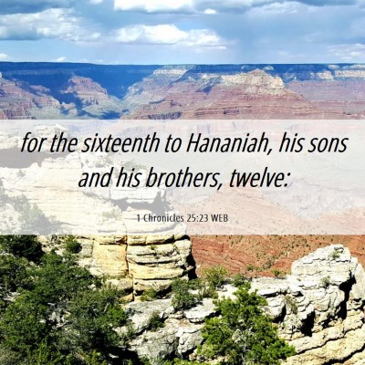 Picture 06 - 1 Chronicles 25:23 WEB - for the sixteenth to Hananiah, his sons and his - Bible Verse Picture