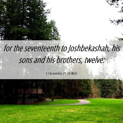 Picture 06 - 1 Chronicles 25:24 WEB - for the seventeenth to Joshbekashah, his sons and - Bible Verse Picture