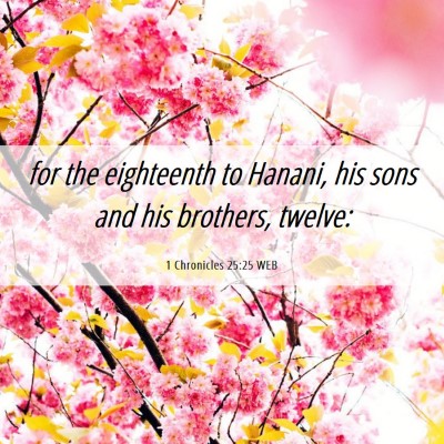 Picture 06 - 1 Chronicles 25:25 WEB - for the eighteenth to Hanani, his sons and his - Bible Verse Picture
