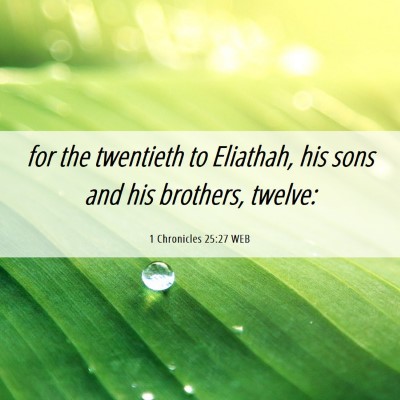 Picture 06 - 1 Chronicles 25:27 WEB - for the twentieth to Eliathah, his sons and his - Bible Verse Picture