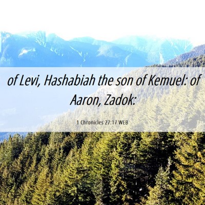 Picture 06 - 1 Chronicles 27:17 WEB - of Levi, Hashabiah the son of Kemuel: of Aaron, - Bible Verse Picture