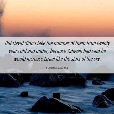 Picture 06 - 1 Chronicles 27:23 WEB - But David didn't take the number of them from - Bible Verse Picture