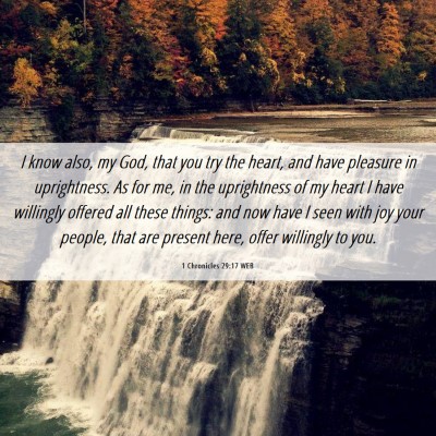 Picture 06 - 1 Chronicles 29:17 WEB - I know also, my God, that you try the heart, and - Bible Verse Picture