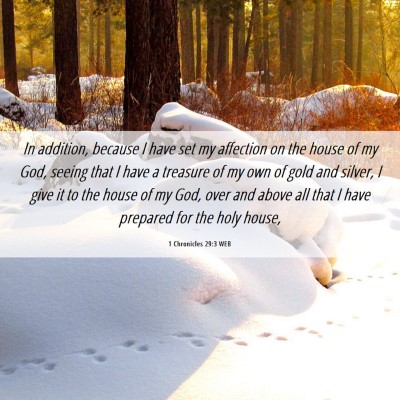 Picture 06 - 1 Chronicles 29:3 WEB - In addition, because I have set my affection on - Bible Verse Picture