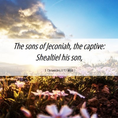 Picture 06 - 1 Chronicles 3:17 WEB - The sons of Jeconiah, the captive: Shealtiel his - Bible Verse Picture