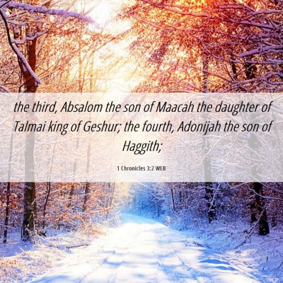 Picture 06 - 1 Chronicles 3:2 WEB - the third, Absalom the son of Maacah the daughter - Bible Verse Picture